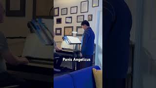 Panis Angelicus by Maxwell singer [upl. by Annailuj]