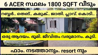 6 ACER സ്ഥലം 1800 SQFT വീടും ടൗണിൽ നിന്ന് 1 KM മാത്രം ദൂരം ഒരു ആദയ ഭൂമി VIDEO കണ്ടു നോക് [upl. by Yelnoc]