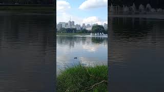 Parque Ibirapuera sp [upl. by Sari576]