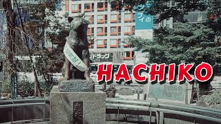 Hachiko The Japanese Dog Who Made All Nations Cry  Japan  Namo Herz Art [upl. by Rebecka]