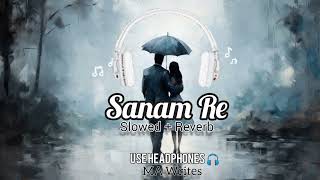 Sanam Re Sanam Re Song slowed reverb  Mind relaxing [upl. by Edsel266]