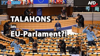 Talahons im EUParlament [upl. by Ahsele]