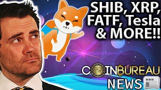 Crypto News SHIB XRP Infra Bill SEC amp More 📰 [upl. by Ivad]