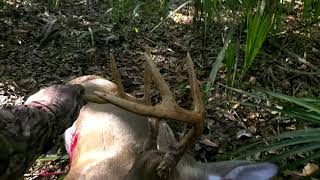 Florida WMA Public Land Deer Hunt [upl. by Amairam]