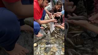 Fish pakar Li  fishing fishing fish fishingvideo short viralvideo [upl. by Ahsirtal]