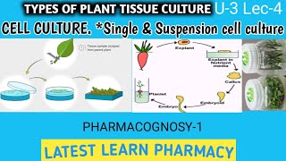 Types of Plant Culture  Cell CultureSuspension amp Single cell culture  Pcognosy U3 L4 BP405T [upl. by Meluhs]