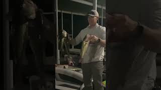 Matt D bass release fishing fish bass bassfishing boating summer outdoors [upl. by Casanova]