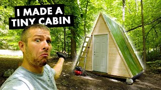 I finished a DIY tiny cabin build for cheap in less than a week [upl. by Slocum]