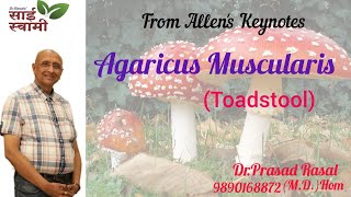 My Experiences with Agaricus Muscarius [upl. by Nnayd]