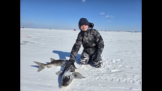 2nd Sturgeon 2024 Lake Winnebago Sturgeon Spearing Season [upl. by Eissolf]