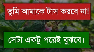 সিনিয়র বউ  Senior wife  Bangla Romantic Story  Tanvirs Voice [upl. by Carrington261]