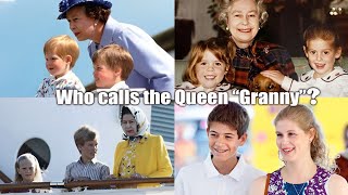 Meet Queen Elizabeth IIs Grandchildren [upl. by Benn4]