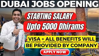 High Salary Jobs In Dubai Apply Now [upl. by Inalaek934]