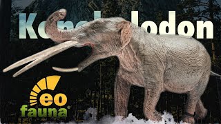 2022 Eofauna Konobelodon Review [upl. by Nnairol61]