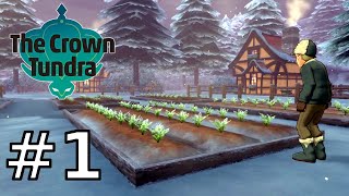 Pokemon Sword The Crown Tundra  Part 1 Walkthrough Gameplay [upl. by Maggee]