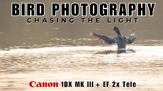 Bird Photography off grid  Searching for the Common Loon  Canon 1DX MK III amp EF300mm f28 L IS [upl. by Leonie]