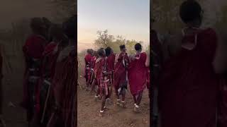 Maasai dance KiliPaul In Tanzania 🇹🇿 [upl. by Anilosi]