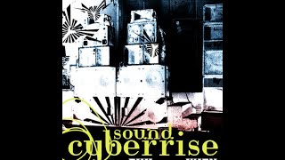 Cyberrise  Olive Perpetuum mobile Live recording  Freeparty Vienna 2013 [upl. by Orimar]