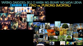 DAIGDIG Bahagi 3C 4K MGA PINAKAMAHAHABANG BUHAY ng mga NILIKHA IMORTAL o PINAKAMATATANDANG PUNO [upl. by Llertniuq]