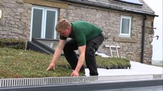 How to Install GrufeKit Sedum Green Roofs  Its Easy [upl. by Inimod]