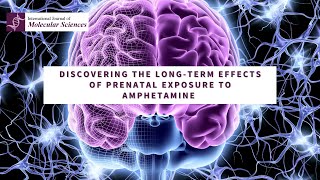 Longterm effects of prenatal exposure to amphetamine [upl. by Cutler]