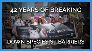 42 Years of Breaking Down Speciesist Barriers [upl. by Anai]