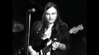 Lynyrd Skynyrd  complete concert from Winterland 1975 [upl. by Hurwit]