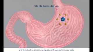 What makes FeraMAX Pd different from other iron supplements [upl. by Diane]