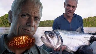 Vampire Fish Are Real  River Monsters [upl. by Myrvyn]