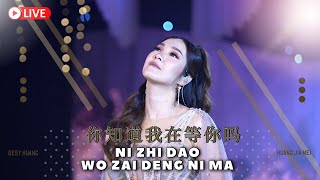 Ni Zhi Dao Wo Zai Deng Ni Ma 《你知道我在等你吗》Desy Huang 黄家美 [upl. by Anairt]