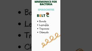 Names of spirochetes  How to memorize spirochetes bacteriology microbiology bacteria [upl. by Campbell21]