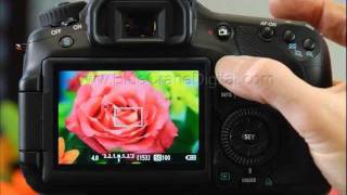 Introduction to the Canon 60D Advanced Topics [upl. by Giorgi]