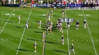 Cam Newton vs lsu [upl. by Edgard]