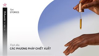 KAssette 68 TINH DẦU  Các phương pháp chiết xuất [upl. by Ahsienaj]