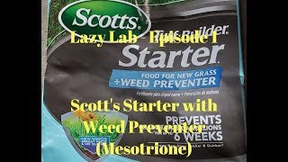 Lazy Lab  Mesotrione Test Scotts Starter with Weed Preventer [upl. by Pegg186]