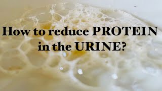 How to Reduce Protein in the Urine  TIPS [upl. by Leaper589]