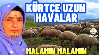 Kürtçe Uzun Havalar  Malamın Malamın Acıklı Ağlatan StranKöy Manzaralı [upl. by Branscum]