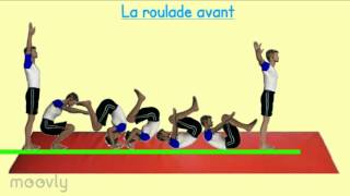 Capsule vidéo EPS Gym Les roulades avant et arrière [upl. by Lenhard]