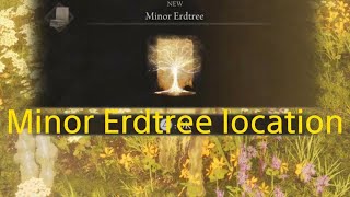 ELDEN RING dlc  Minor Erdtree location [upl. by Edin642]