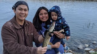 Pike Fishing  Chestermere Lake AB [upl. by Adniled929]