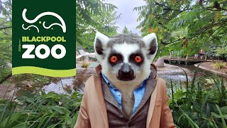 i visit Blackpool Zoo One of the UKs top animal parks in 2024 [upl. by Rramo]