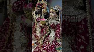 Aj saji hun Piya ke liye song trendingshorts music radhakrishna radheshyam devotionalsong [upl. by Rhtaeh55]