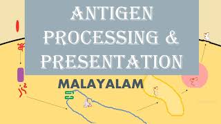 ANTIGEN PROCESSING AND PRESENTATION  MALAYALAM [upl. by Attenahs]