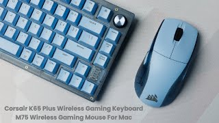 Corsair K65 Plus amp M75 For Mac  Review Full Specifications amp Features [upl. by Drofkcor]