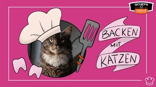 Katzenpudding mit Zahnputzflocken QCHEFS [upl. by Oniotna]