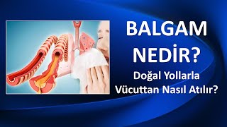 BALGAM NEDİR DOĞAL YOLLARLA VÜCUTTAN NASIL ATILIR [upl. by Nav]