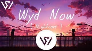 Sadie Jean  Wyd Now  X Main Rang Sharbaton ka  Nightcore [upl. by Tirzah]