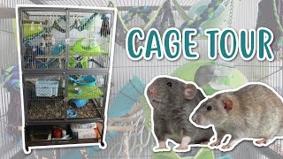 RAT CAGE TOUR  PetPlanet rat and ferret cage [upl. by Vizzone]