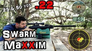 Gamo Swarm Maxxim 22 Air Rifle  Accuracy Test   25 amp 50 Yards  Full REVIEW  AirgunPellet Gun [upl. by Py]