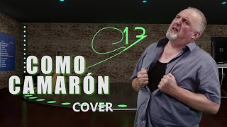 Como Camarón  Estopa cover [upl. by Riehl]